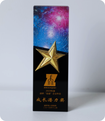 金颛企业成长潜力奖