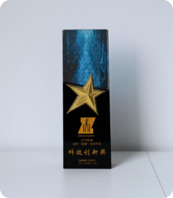颛桥企业年会科技创新奖